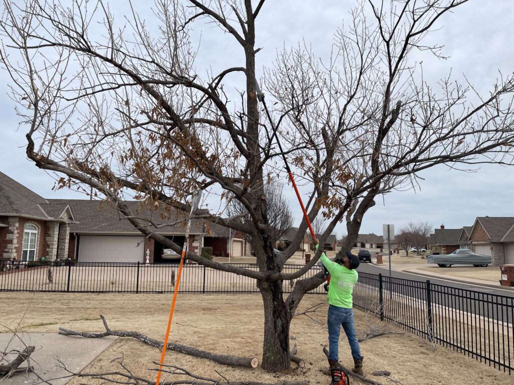 Your Homeowner Dues at Work for You!